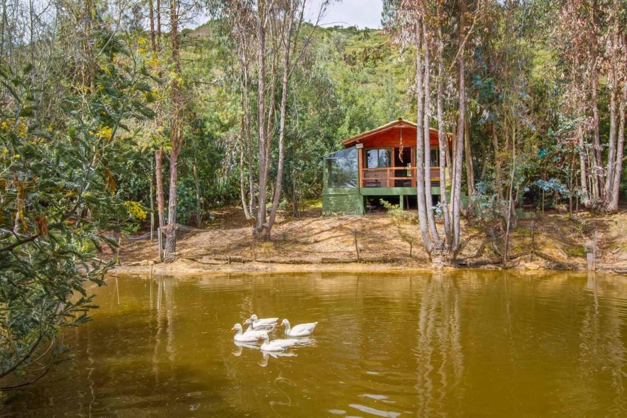 Nemocon Cabana Tipo Glamping Savieza Life Experience מראה חיצוני תמונה